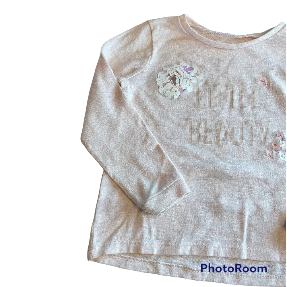 4T The Children's Place sweater